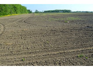 Property photo 84 - LAND AUCTION - 215+/- ACRES OFFERED IN 6 TRACTS IN VAN WERT COUNTY, OHIO